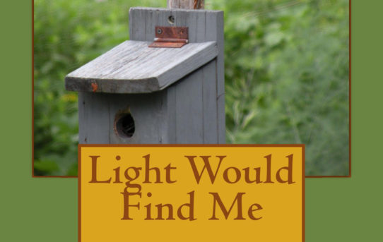 New book: Light Would Find Me