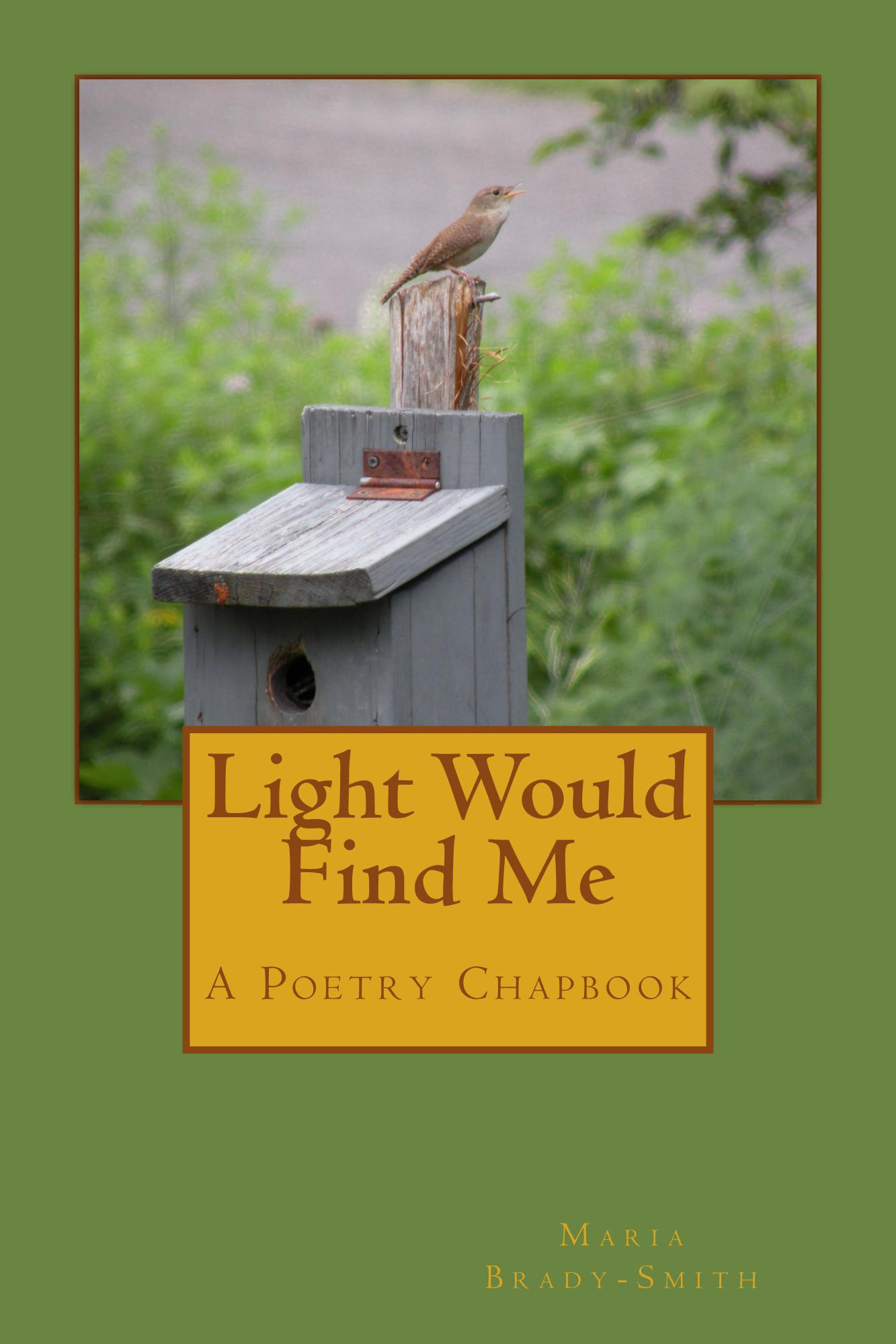 New book: Light Would Find Me